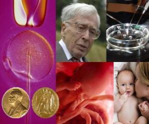 пазл Нобелевская премия по медицине 2010 - Роберт Эдвардс -